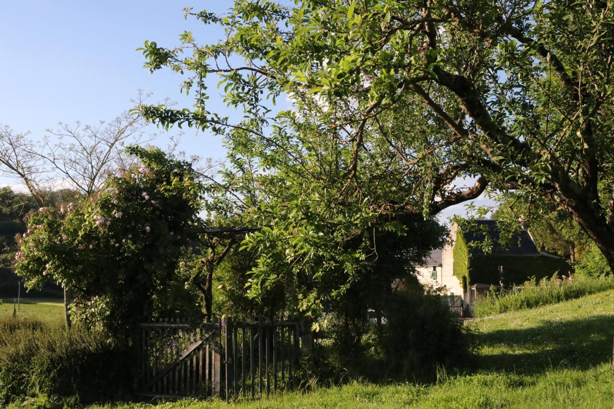Chambres D'Hotes Du Noisillet Cinais Zewnętrze zdjęcie